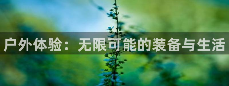 利记手机官网入口