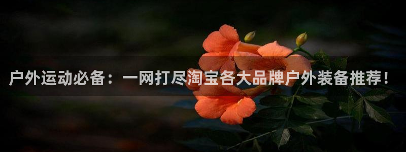 利记国际有限公司官网