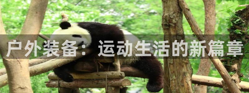 利记官网是什么