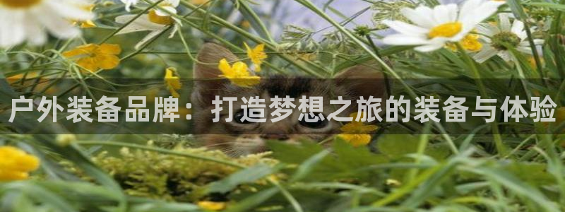 利记厨具官网售后