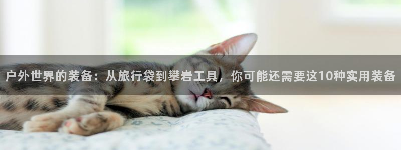 利记官网电脑版