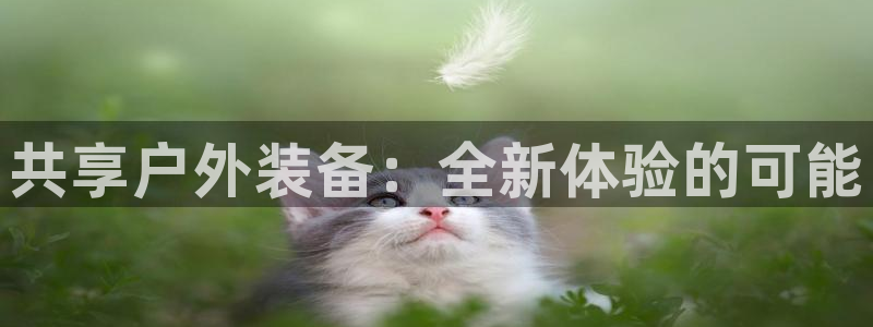 新利记官网