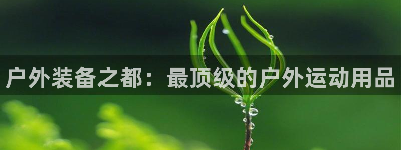 利记体育app官网