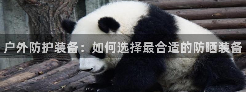 利记官网入口