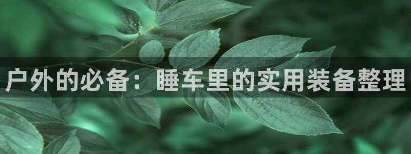 利记sbobe官网