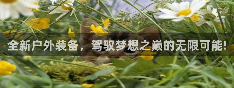 利记厨具官网客服电话